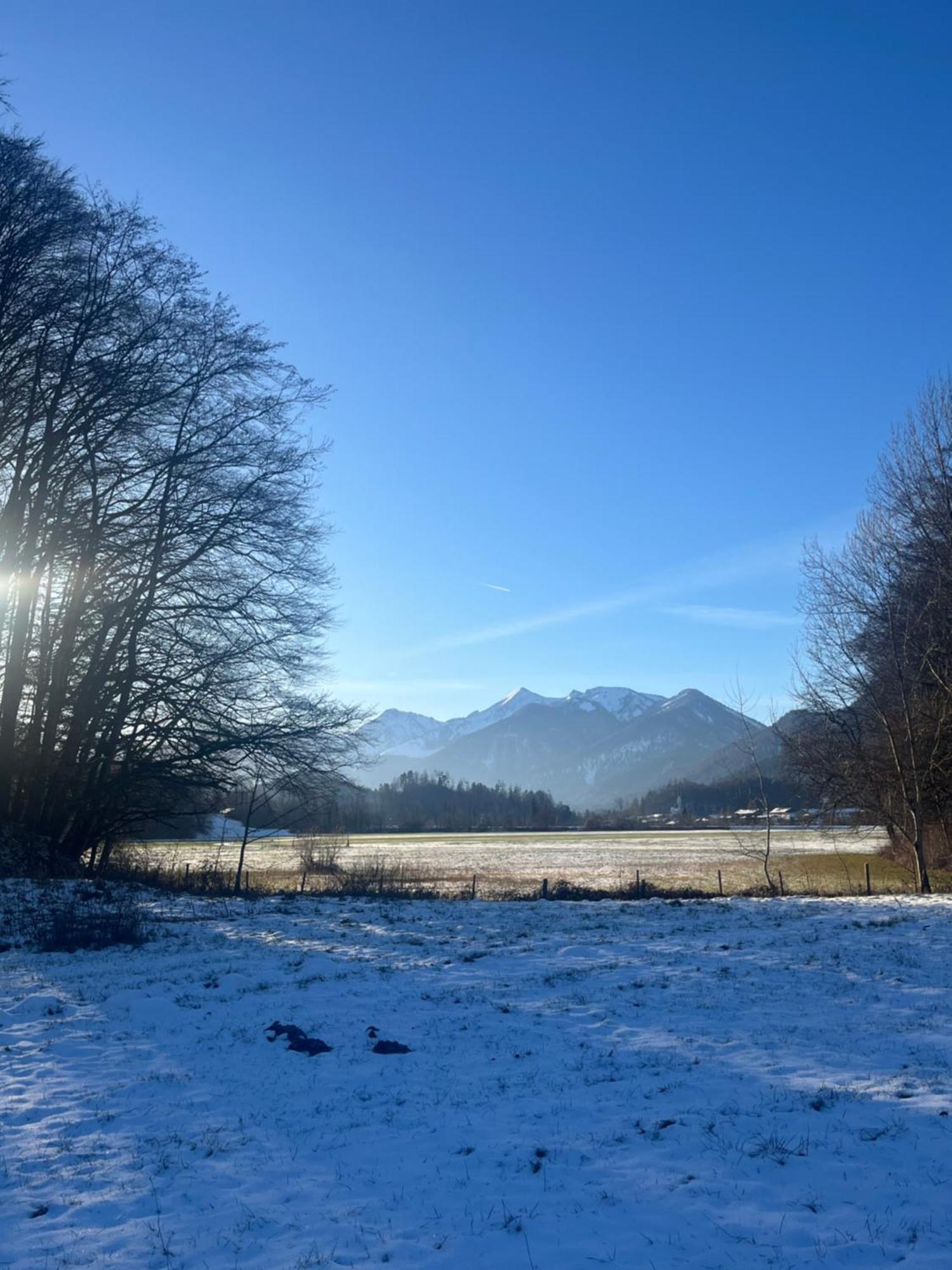 Charmantes Garten-Apartment: Erholung Im Chiemgau ウンターヴォッセン エクステリア 写真